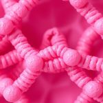 Skin cross-section highlighting Collagen and Elastin fibers working together to support elasticity.