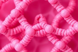 Skin cross-section highlighting Collagen and Elastin fibers working together to support elasticity.