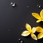 جزيء فانيلين مكبّر مع روابط كيميائية وخلفية مستخلص الفانيليا