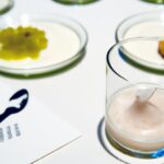 Sip Science: Mastering Food and Wine Pairing by Chemistry