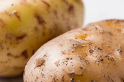 Master the Art of the Perfectly Boiled Potato Every Time