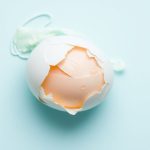 مخطط مقرب لبروتينات البيض داخل صفار وبياض