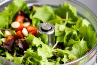 - Inside the Salad Shooter: How This Kitchen Gadget Works Wond