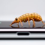 - Counting Creepy Crawlies: Testing Germs on Your Phone