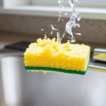 - When Your Sponge Stinks: Health Risks and Safe Solutions