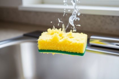 - When Your Sponge Stinks: Health Risks and Safe Solutions