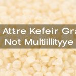 - Why Are My Water Kefir Grains Not Multiplying? Trouble Tips