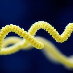 - Unfolding Nature's Secrets: What Is Protein Denaturation?