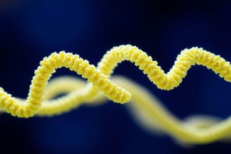 - Unfolding Nature's Secrets: What Is Protein Denaturation?